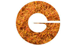 Givaudan